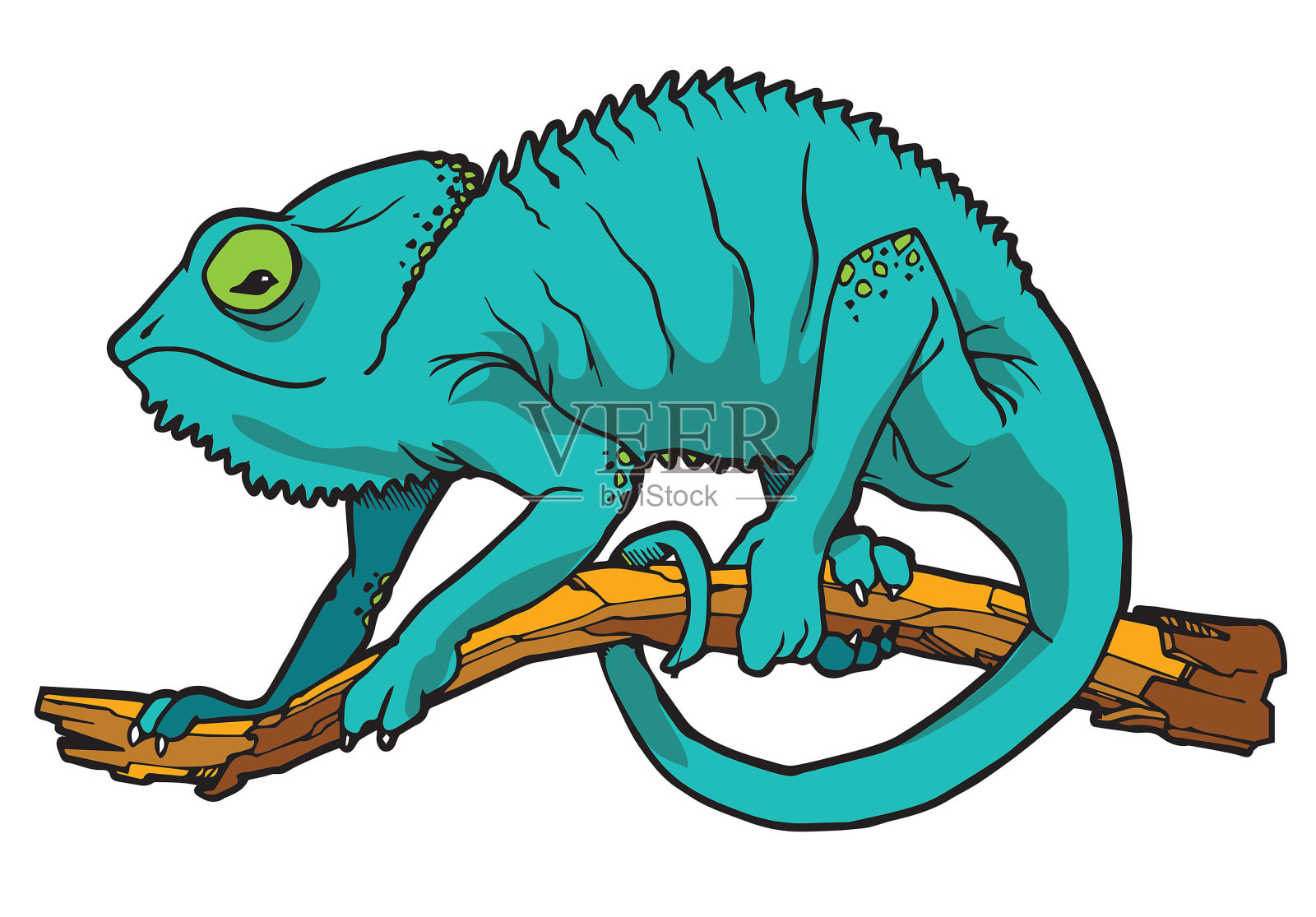 变色龙蜥蜴野生动物插画图片素材
