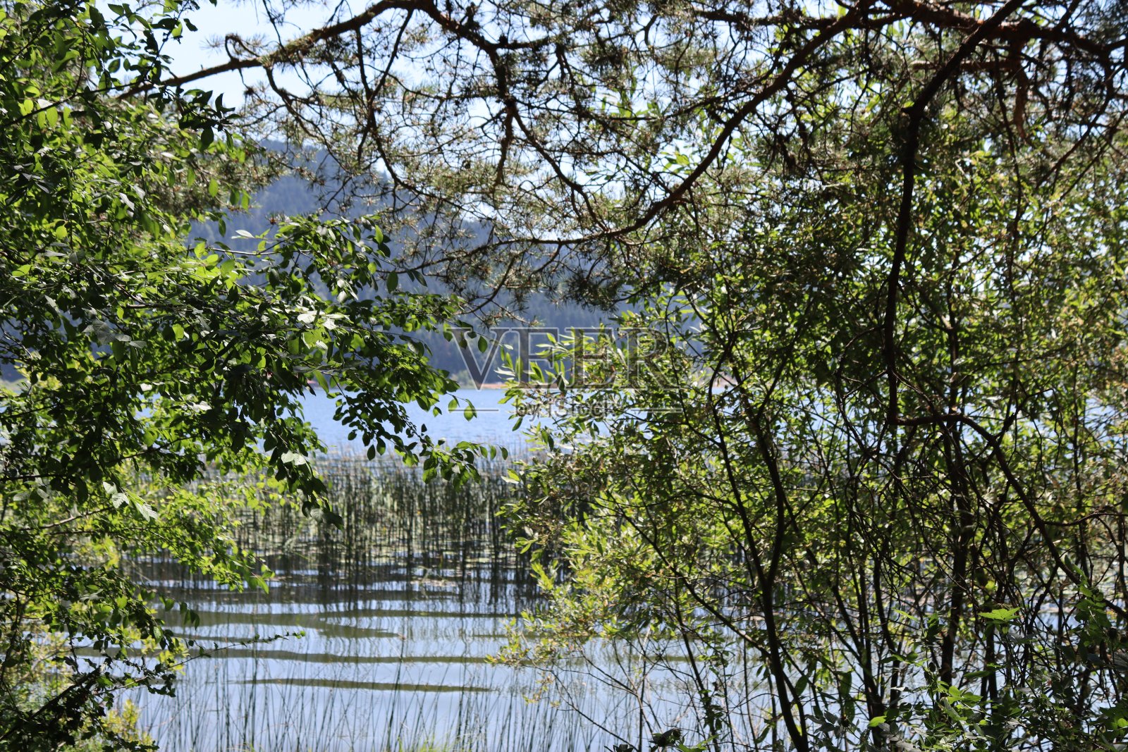 湖Abant照片摄影图片