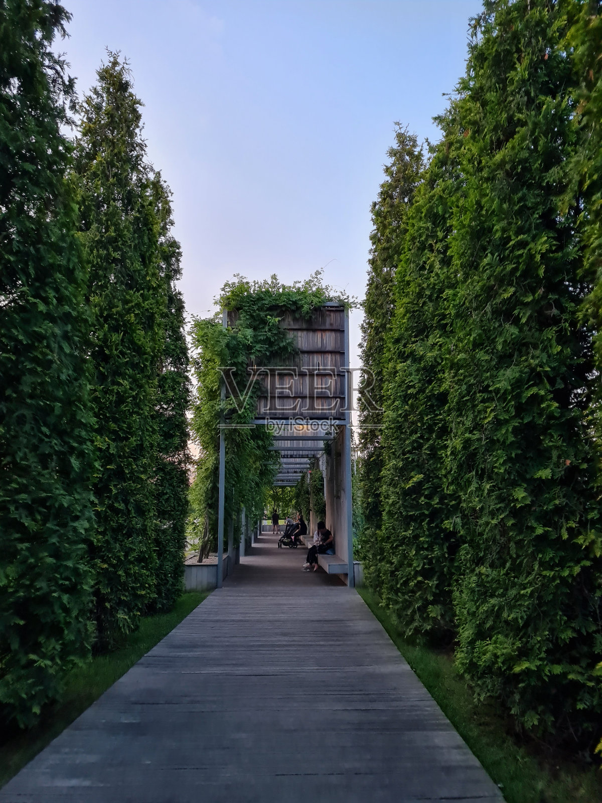 景观设计公园照片摄影图片