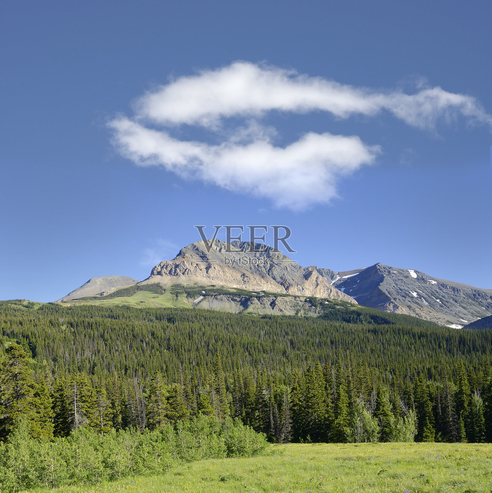 美国蒙大拿州冰川国家公园的切班克溪谷照片摄影图片