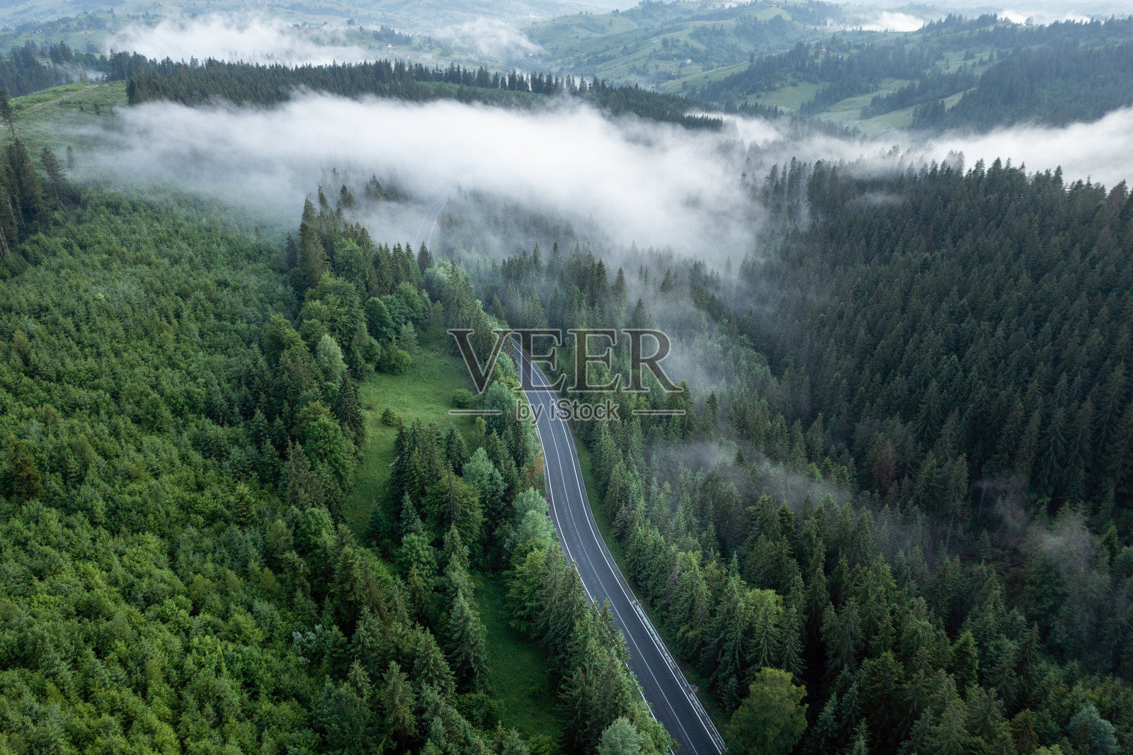 森林里的路在雾山里照片摄影图片