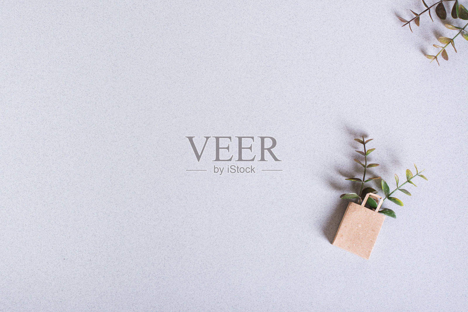 绿色星期五纸工艺袋与分支绿色背景顶部视图复制空间照片摄影图片