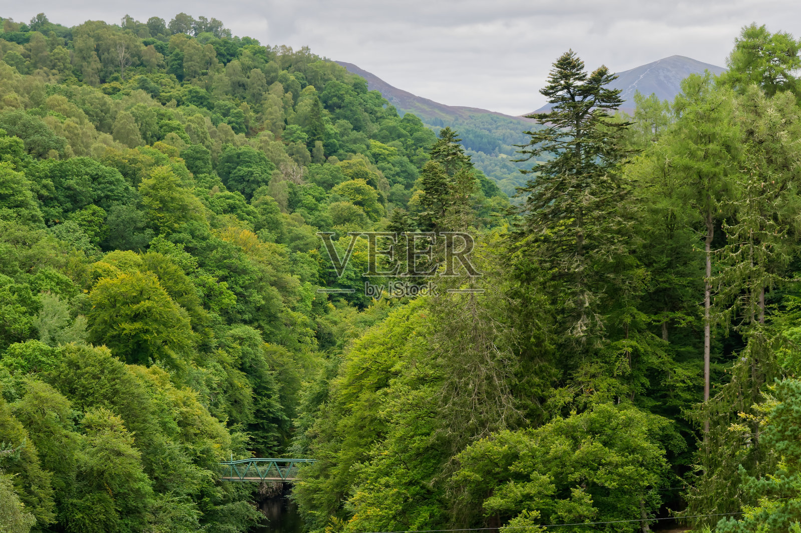 从皮特洛赫里的桥上看图梅尔河照片摄影图片