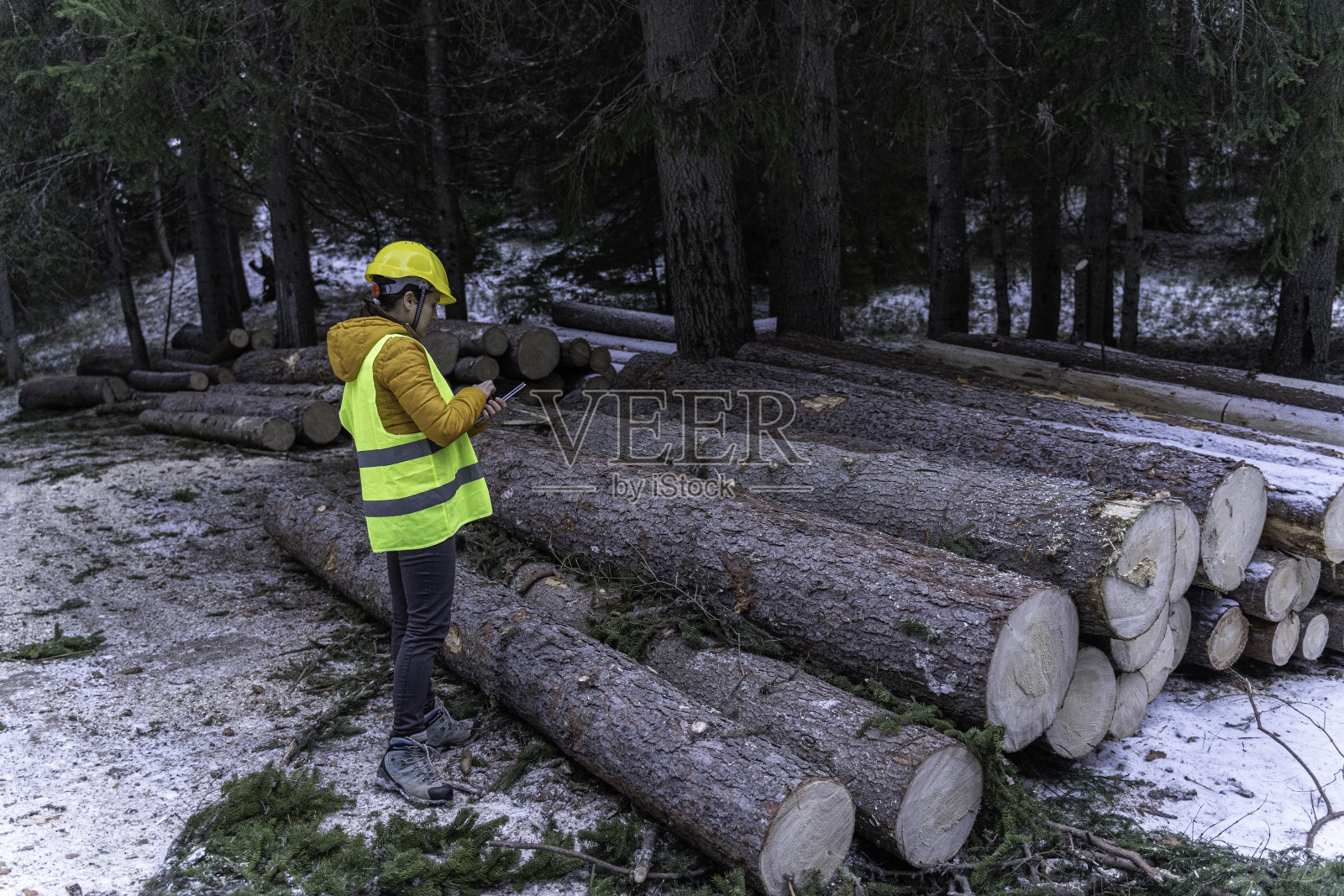 可持续的小木屋建设。照片摄影图片