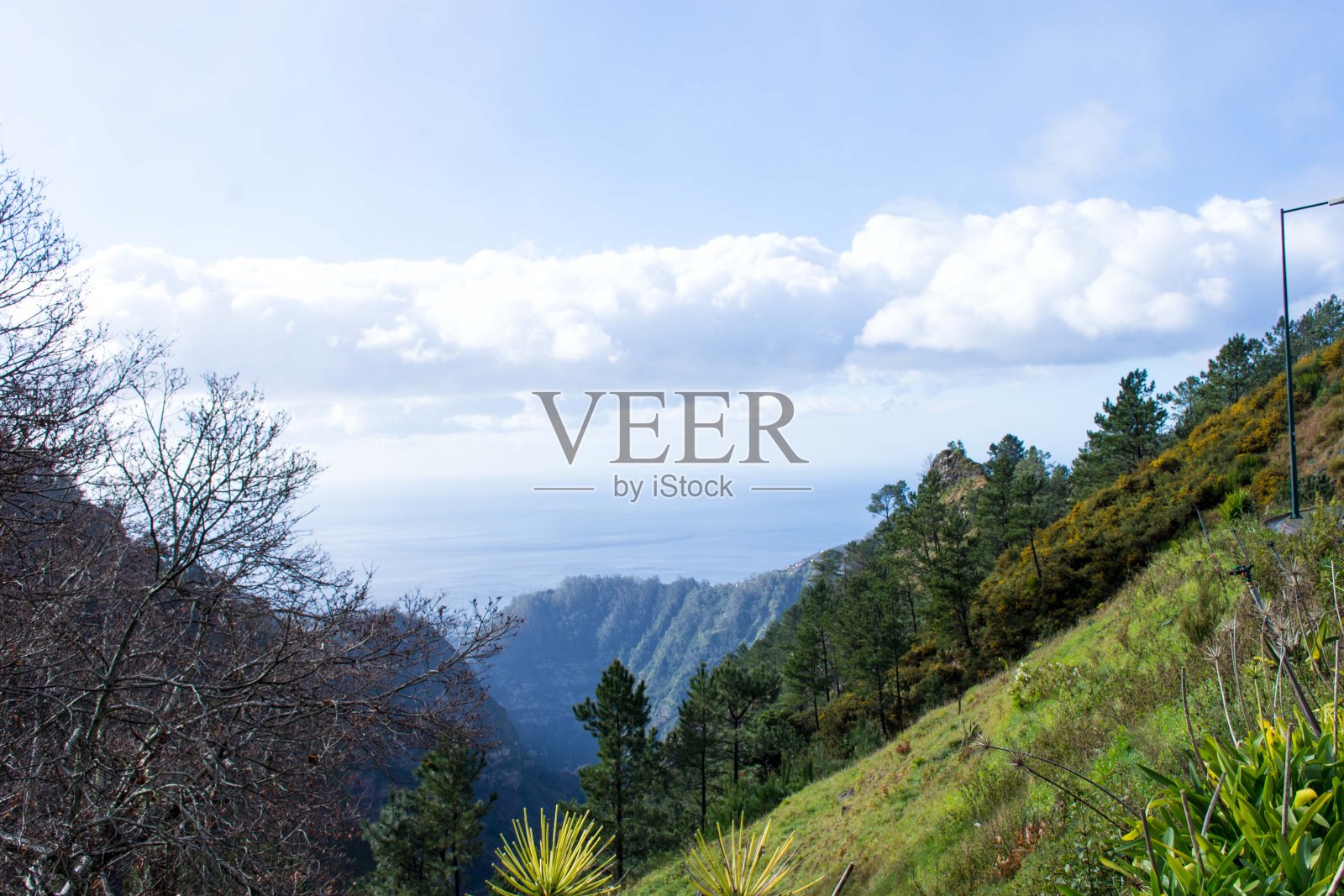 葡萄牙马德拉岛照片摄影图片