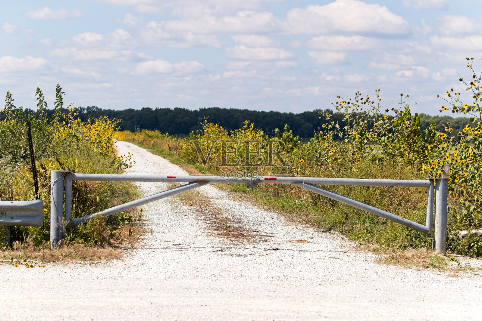 挂锁门20230909_ALX_6908照片摄影图片