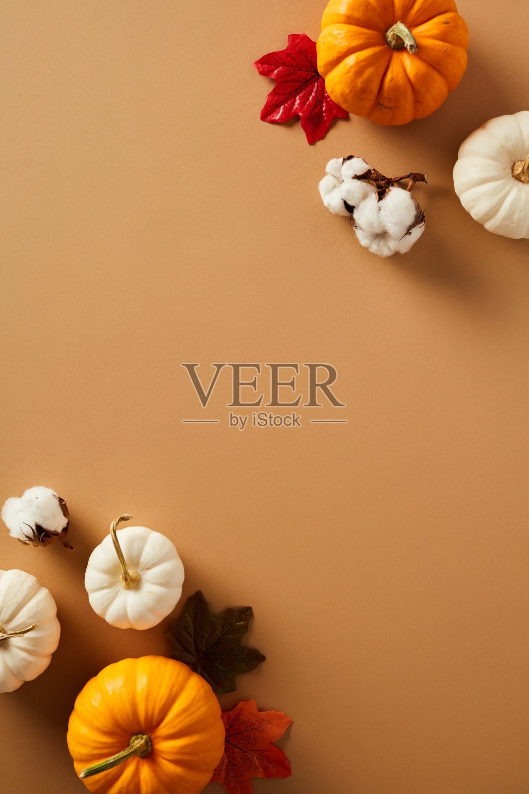 框架的南瓜，枫叶，棉花在棕色的背景。感恩节快乐海报模板。平铺，俯视图，复制空间。照片摄影图片