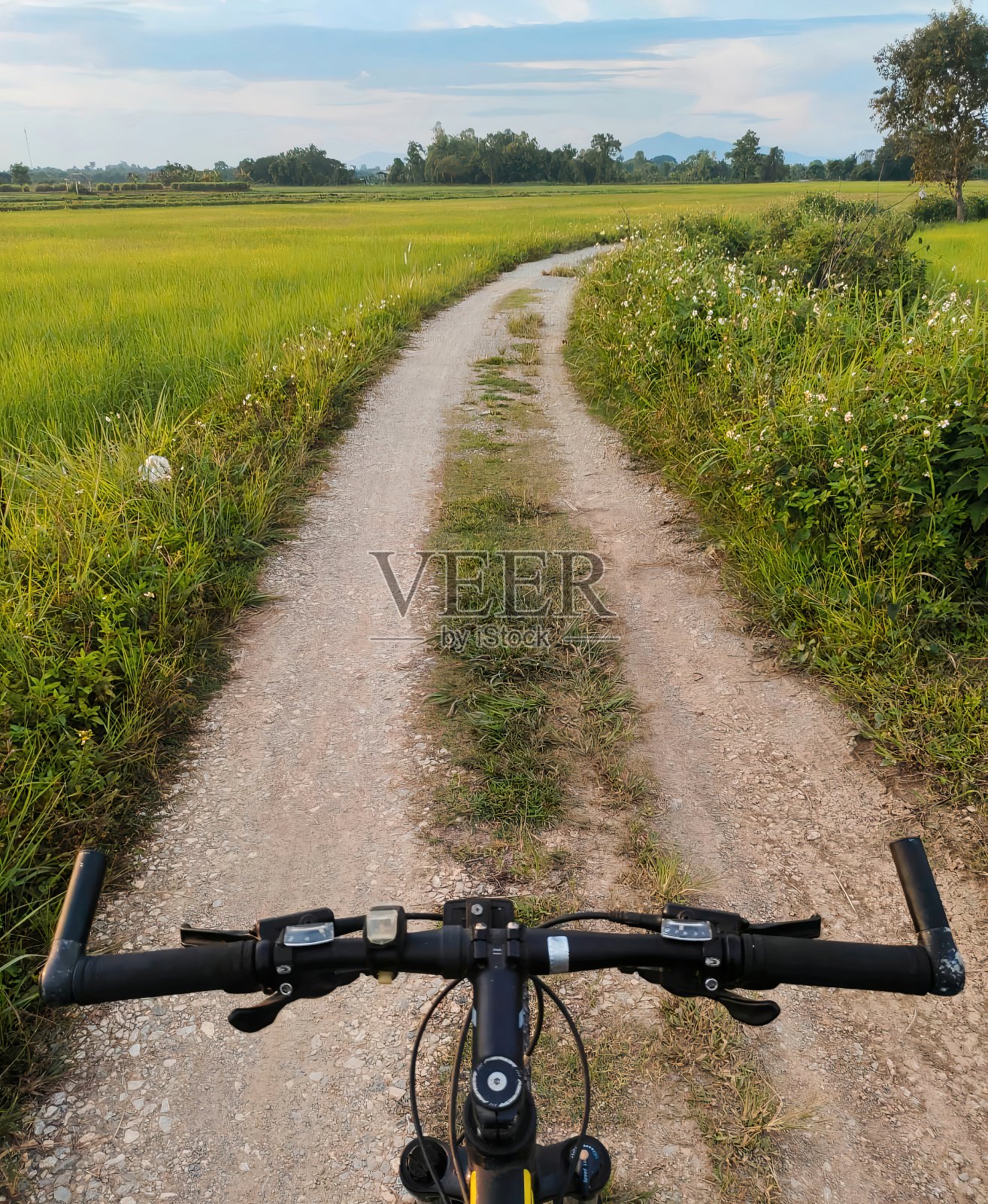自行车和孤立的道路照片摄影图片