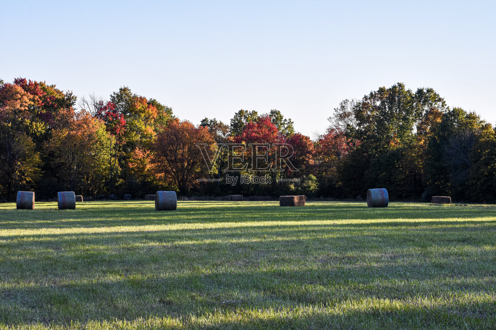 秋天的圆干草捆照片摄影图片