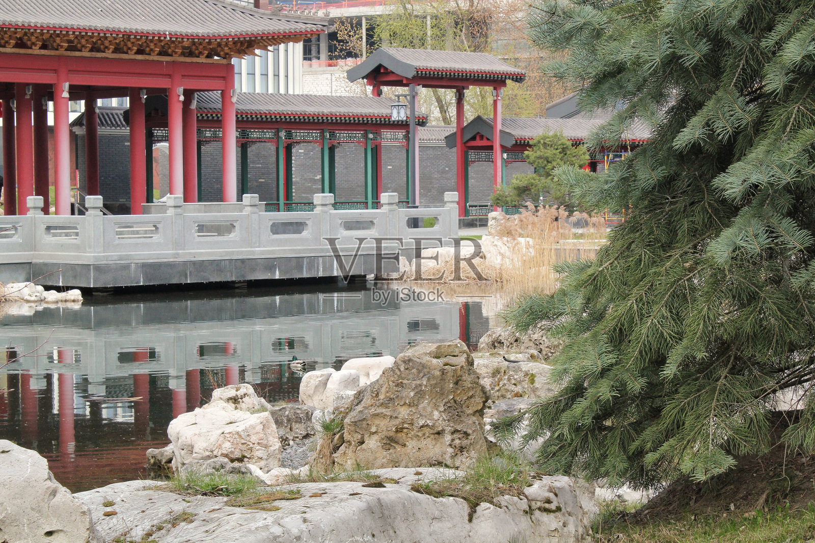 中国传统的石头园林。东方森林中的绿色植物和岩石。亚洲风格园林绿化装饰灌木。有草和鹅卵石的禅宗花园。大理石假山石照片摄影图片