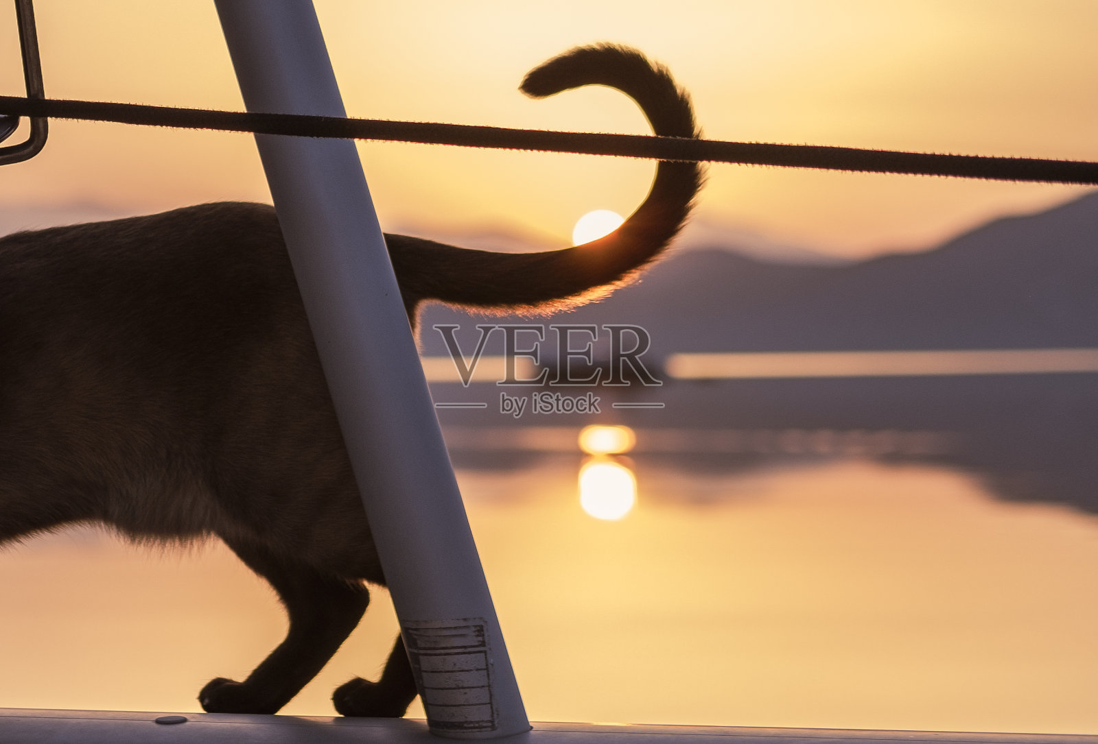 猫尾伴着初升的太阳，清晨日出驾着帆船，水上、海上风光旖旎照片摄影图片