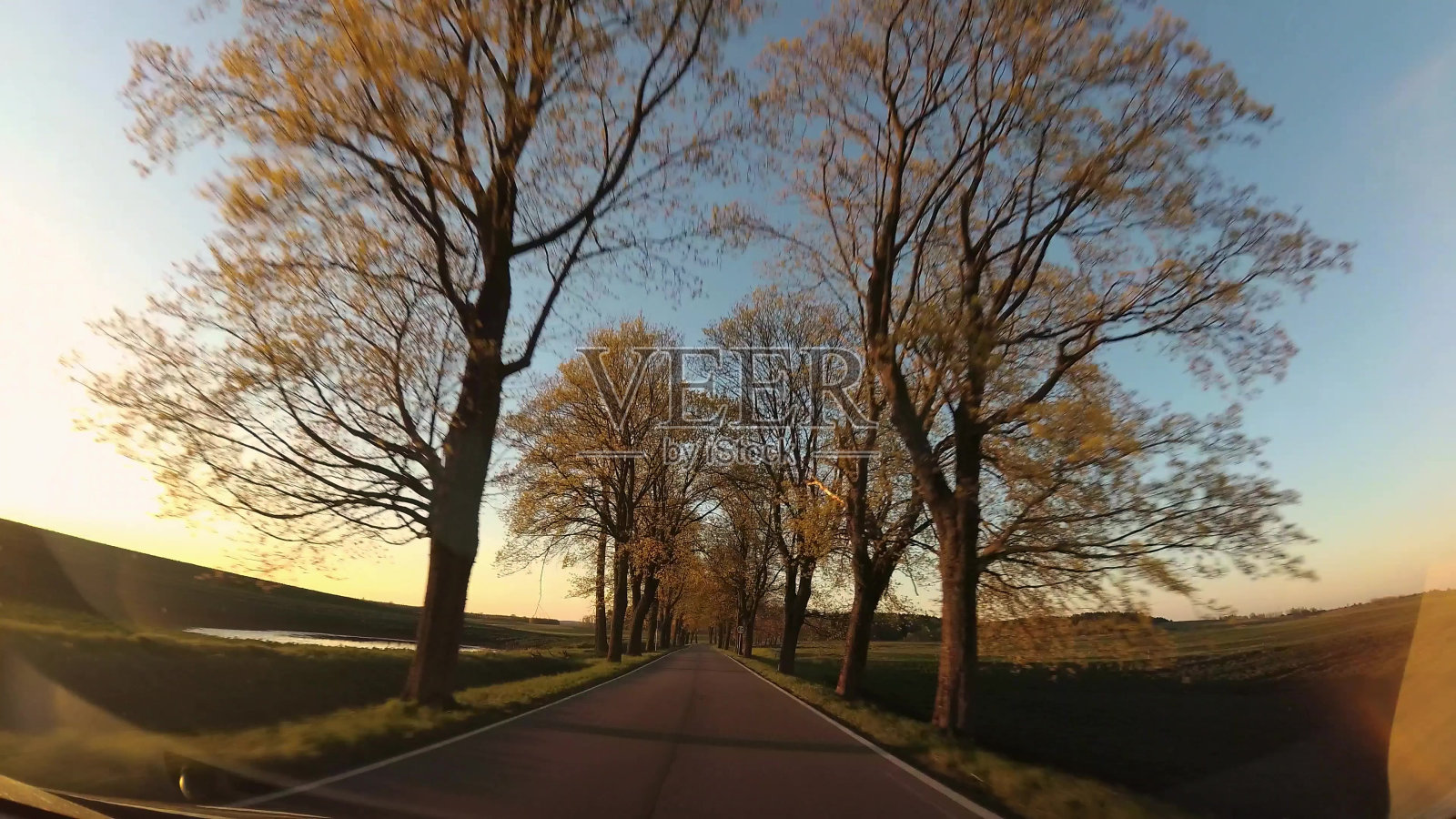 在日落时驾驶乡村道路与树木照片摄影图片