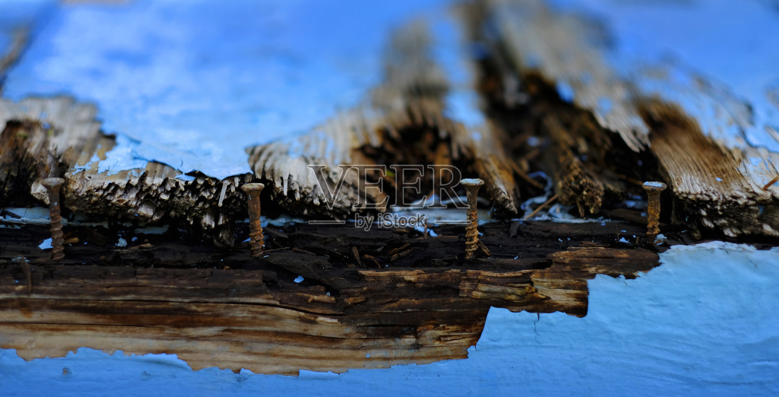 密切关注旧螺丝在木材腐烂和剥落照片摄影图片