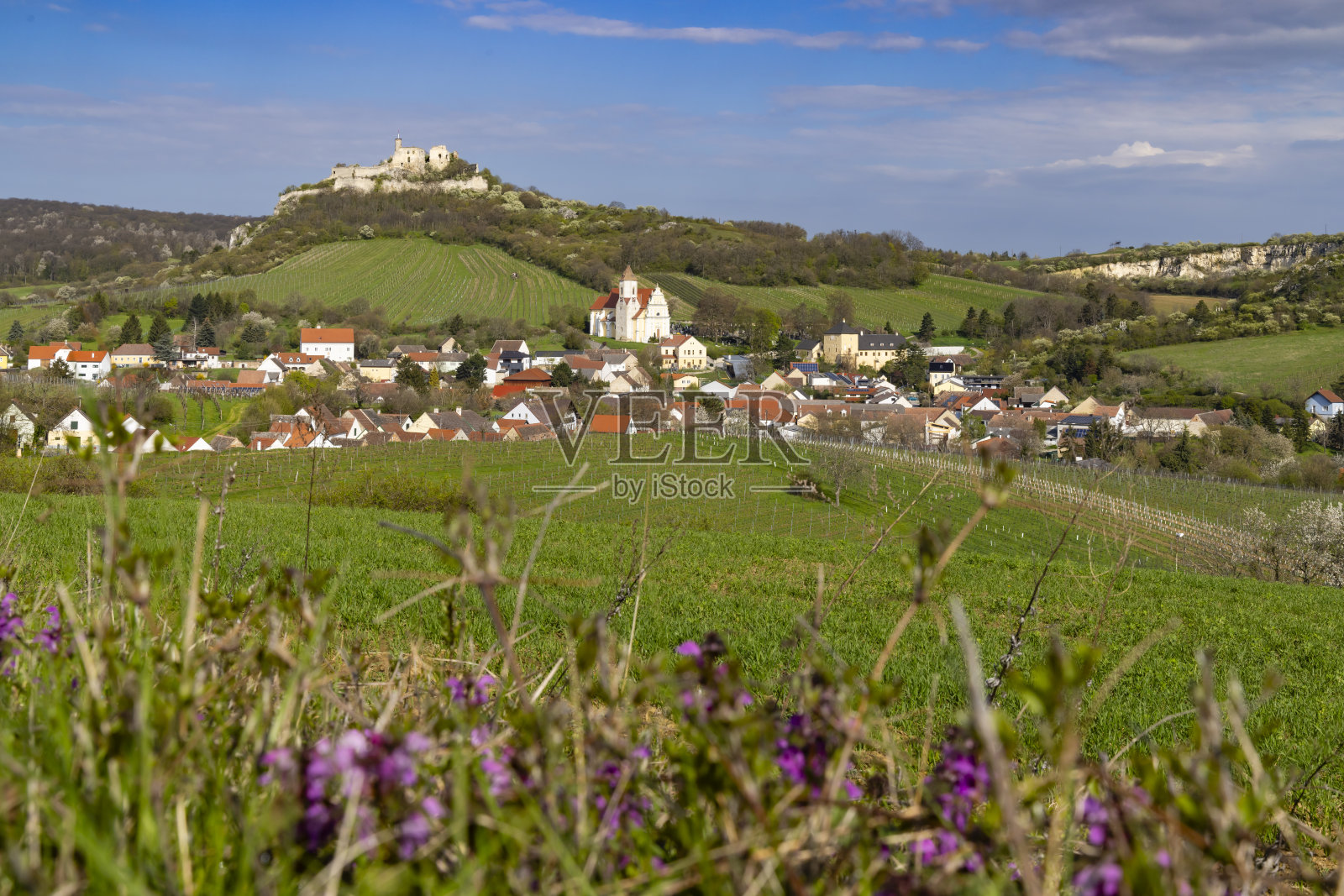 法尔肯斯坦遗址和葡萄园小镇，奥地利下奥地利照片摄影图片