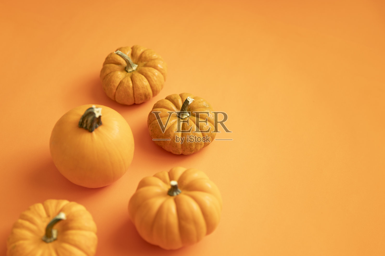 橙色背景上的迷你南瓜照片摄影图片