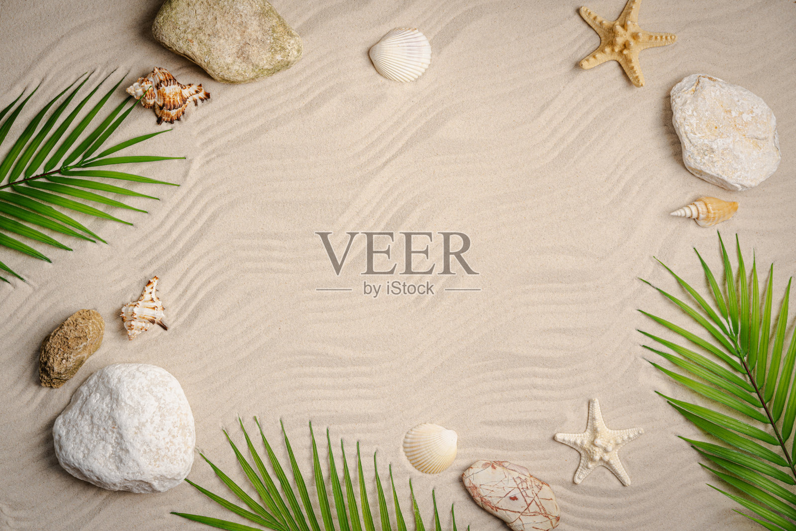 海星和贝壳的海沙照片摄影图片