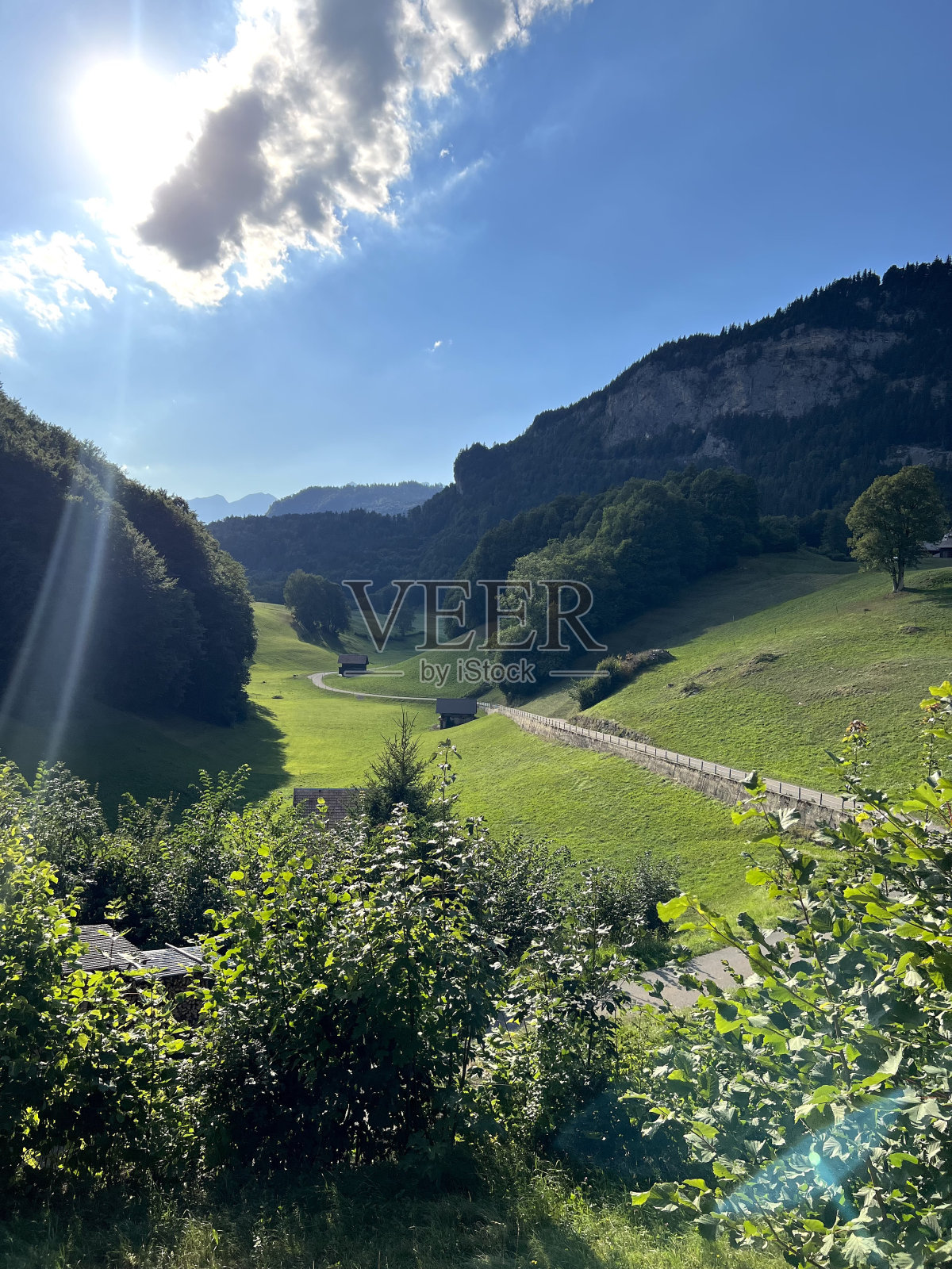 自然照片摄影图片