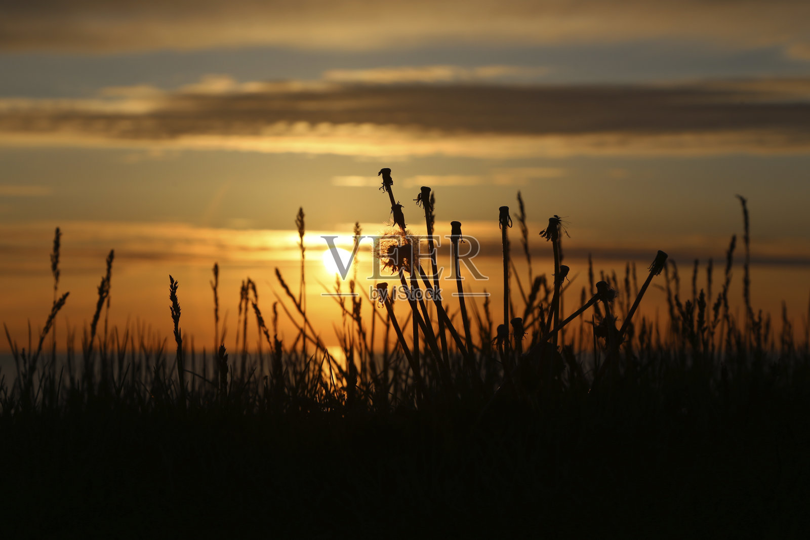 波罗的海照片摄影图片