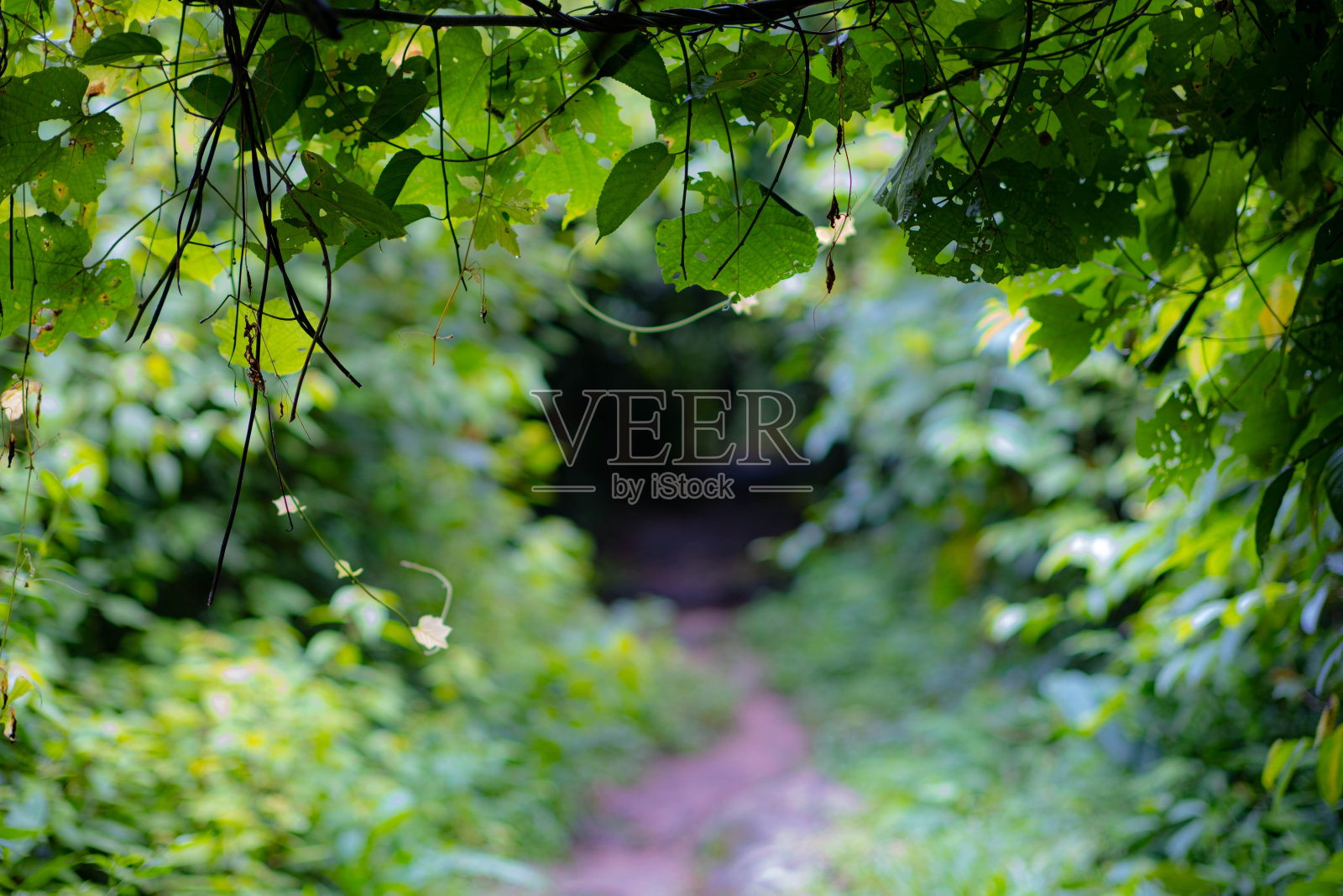 看起来很完美照片摄影图片