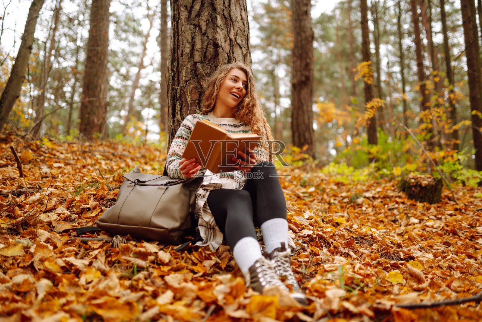一个卷头发的女人，穿着时髦的毛衣，拿着一本书，坐在秋天森林里的枫树下。照片摄影图片