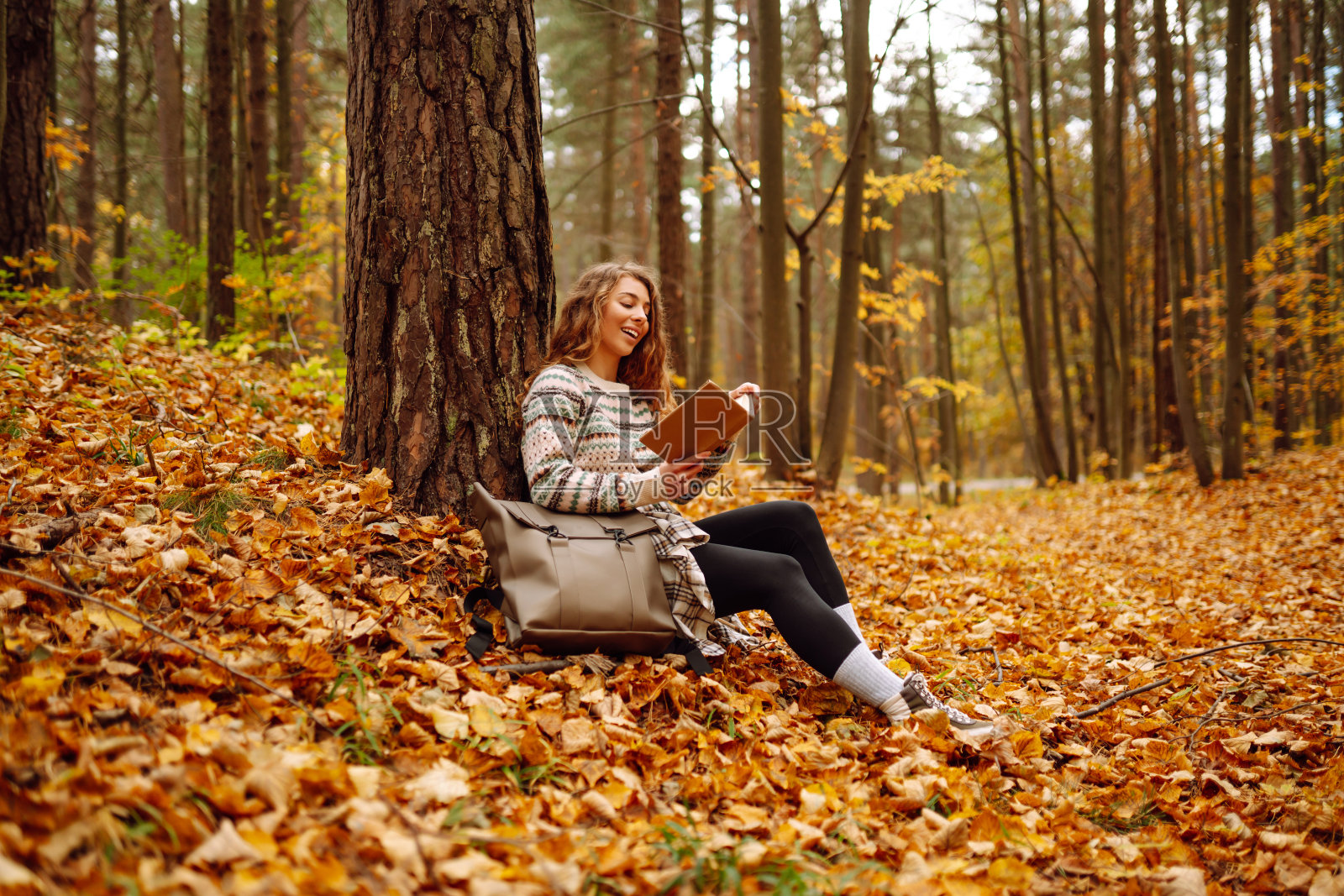 一个卷头发的女人，穿着时髦的毛衣，拿着一本书，坐在秋天森林里的枫树下。照片摄影图片