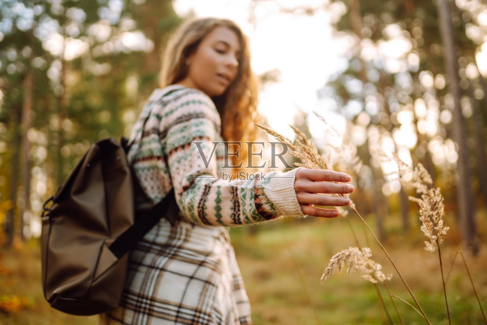 一位时髦的游客背着背包，手握着秋天柔软的金色潘帕斯草原。照片摄影图片
