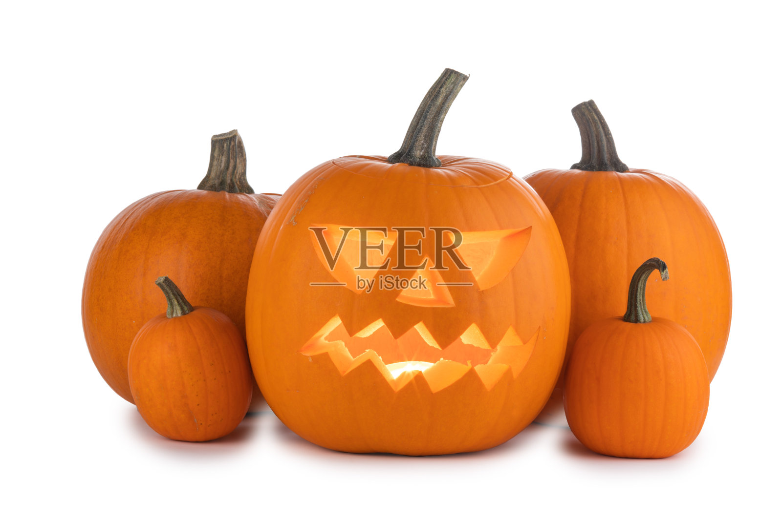 白色的万圣节南瓜照片摄影图片