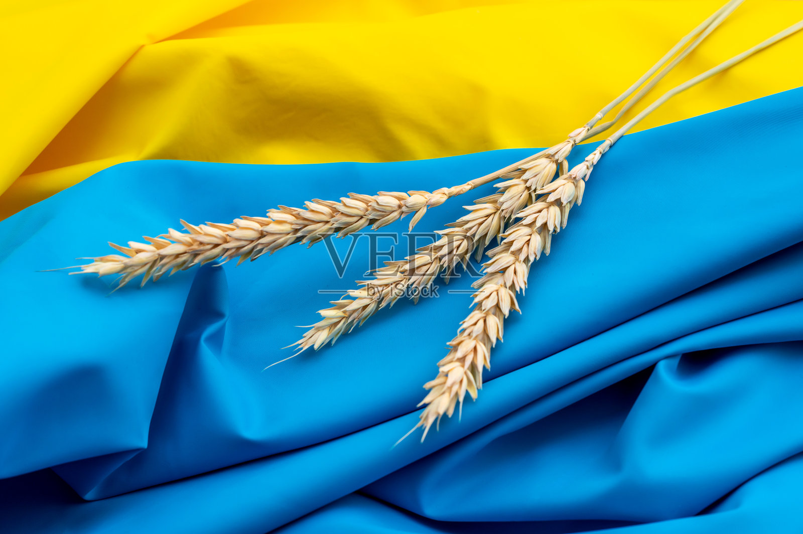 乌克兰国旗上的麦穗。关闭了。照片摄影图片