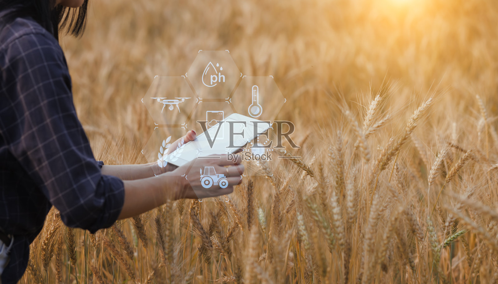 农民使用数字平板电脑和现代界面图标。照片摄影图片