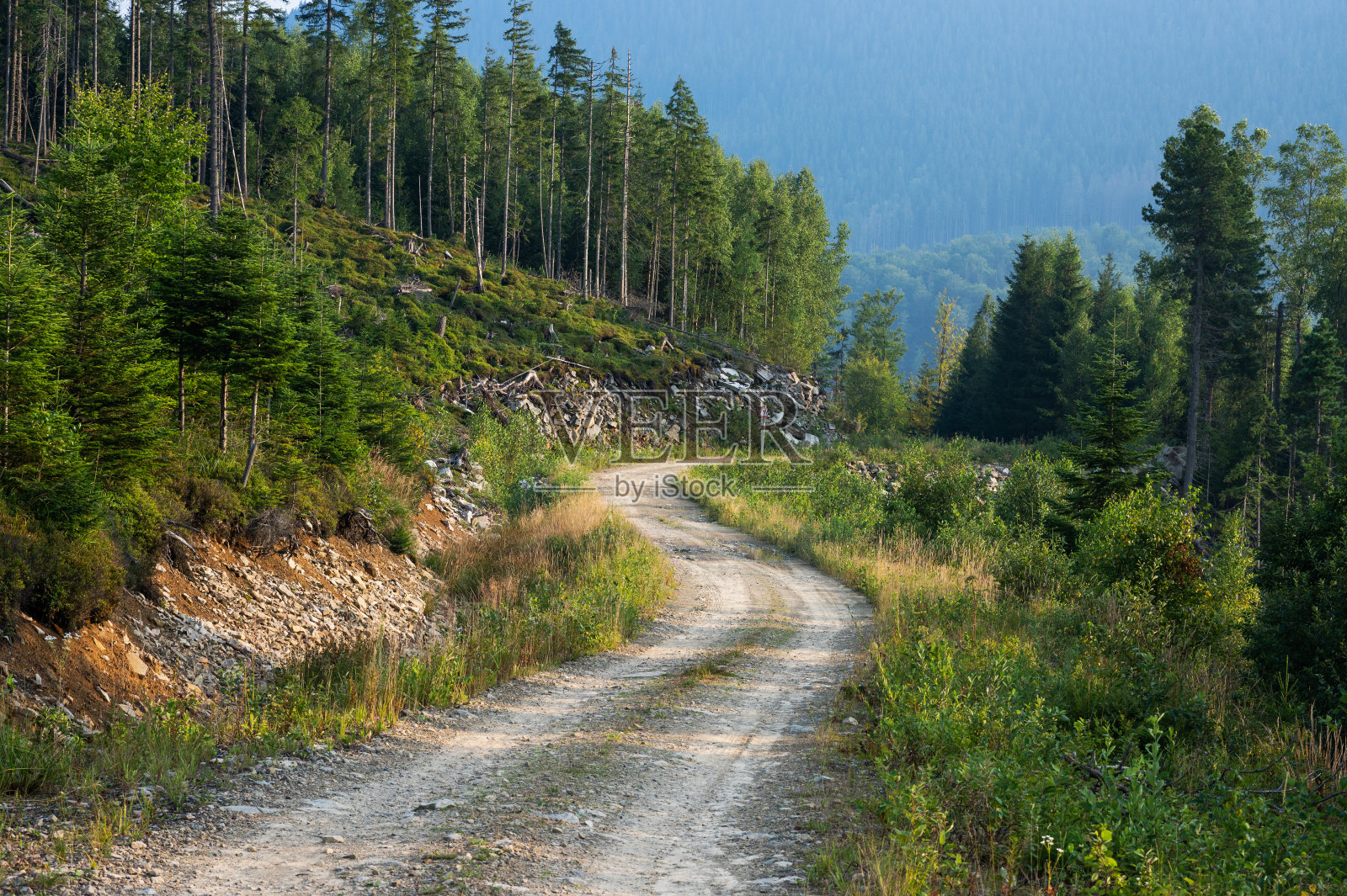 路在喀尔巴阡山脉，风景秀丽照片摄影图片