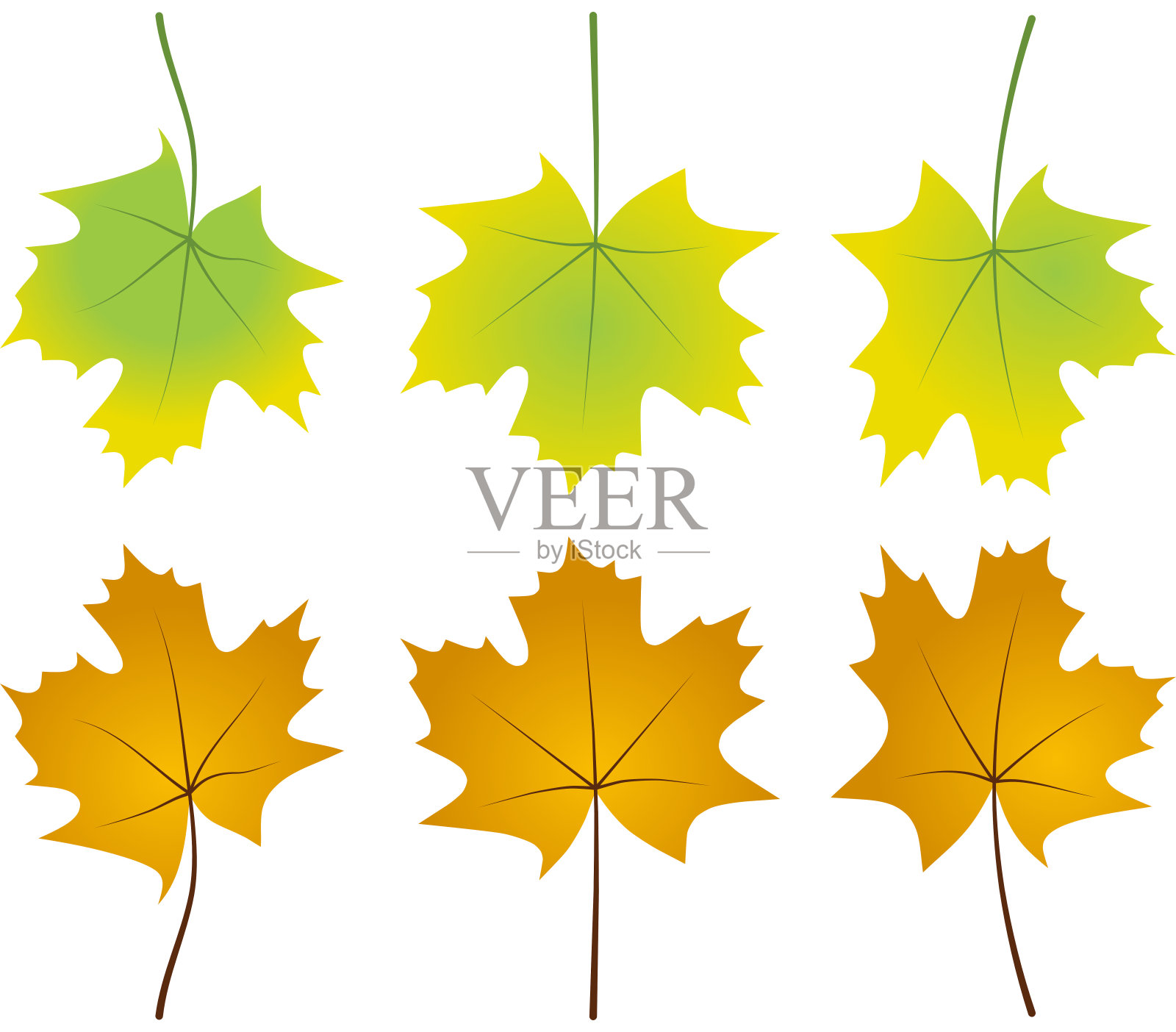 秋天的树叶落叶图解颜色金橙绿插画图片素材