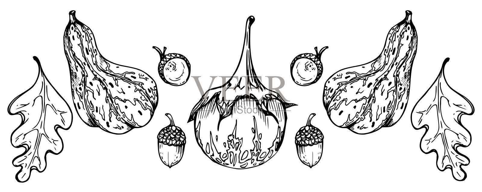 手绘墨水矢量茄子茄子葫芦南瓜。素描插画艺术为感恩、丰收、农耕。孤立的物体，轮廓。设计餐厅菜单打印，咖啡馆，网站，邀请插画图片素材