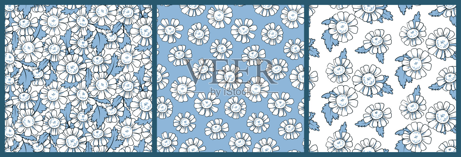 无缝花卉图案与轮廓洋甘菊花在收集，设计在两种颜色的白色和蓝色。向量。插画图片素材