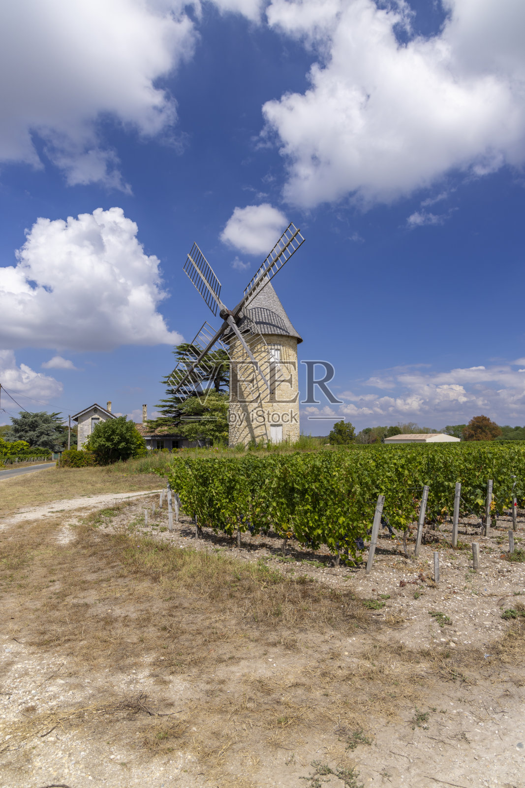 拉马克风车葡萄园，上梅多克，波尔多，阿基坦，法国照片摄影图片