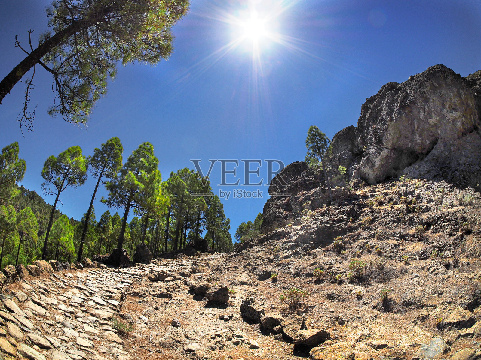 通往洛斯霍诺斯大坝的道路。大加那利岛。照片摄影图片
