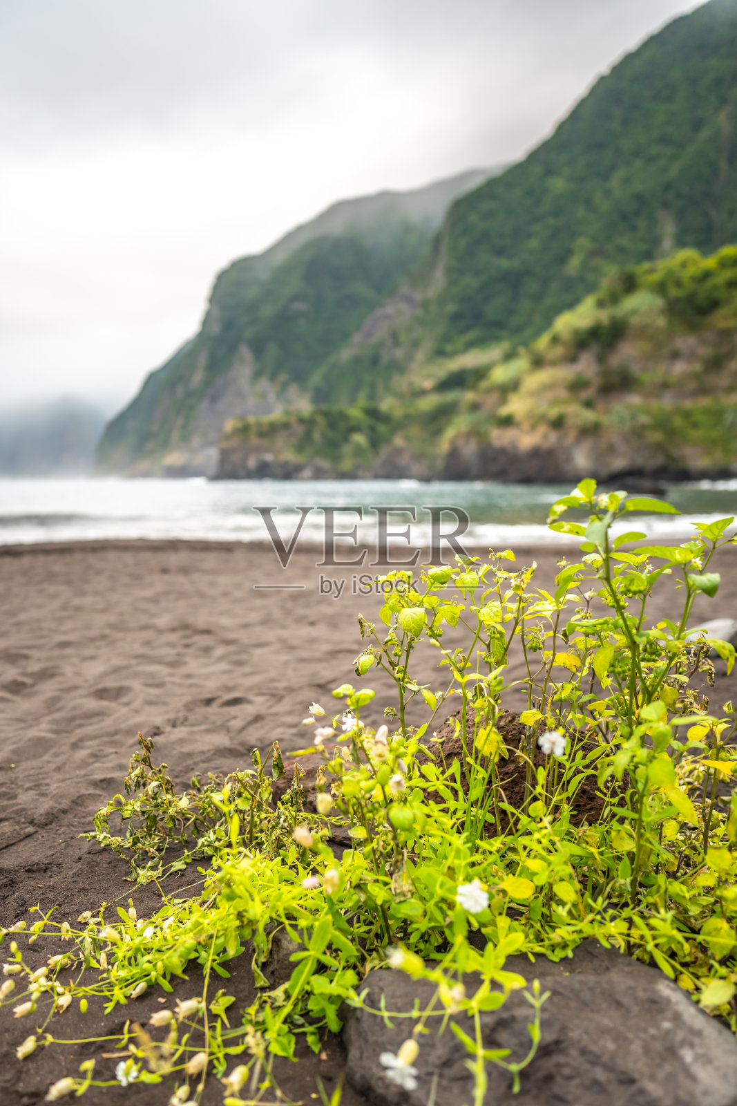 清晨在塞萨尔海滩拍摄的壮观的平静日出气氛。塞萨尔海滩，马德拉岛，葡萄牙，欧洲。照片摄影图片
