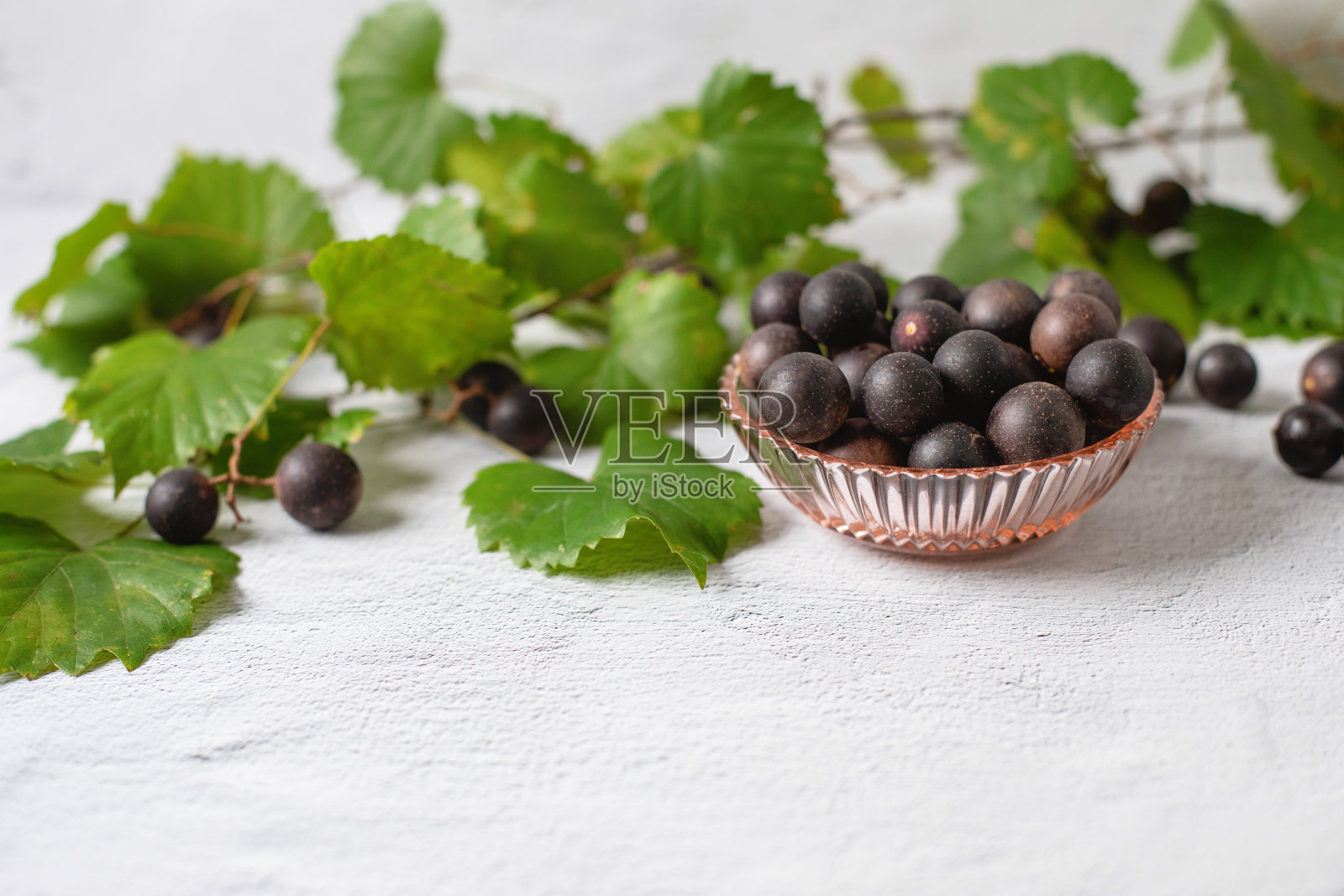 新鲜采摘的麝香葡萄在白色背景的粉红色碗与麝香葡萄照片摄影图片