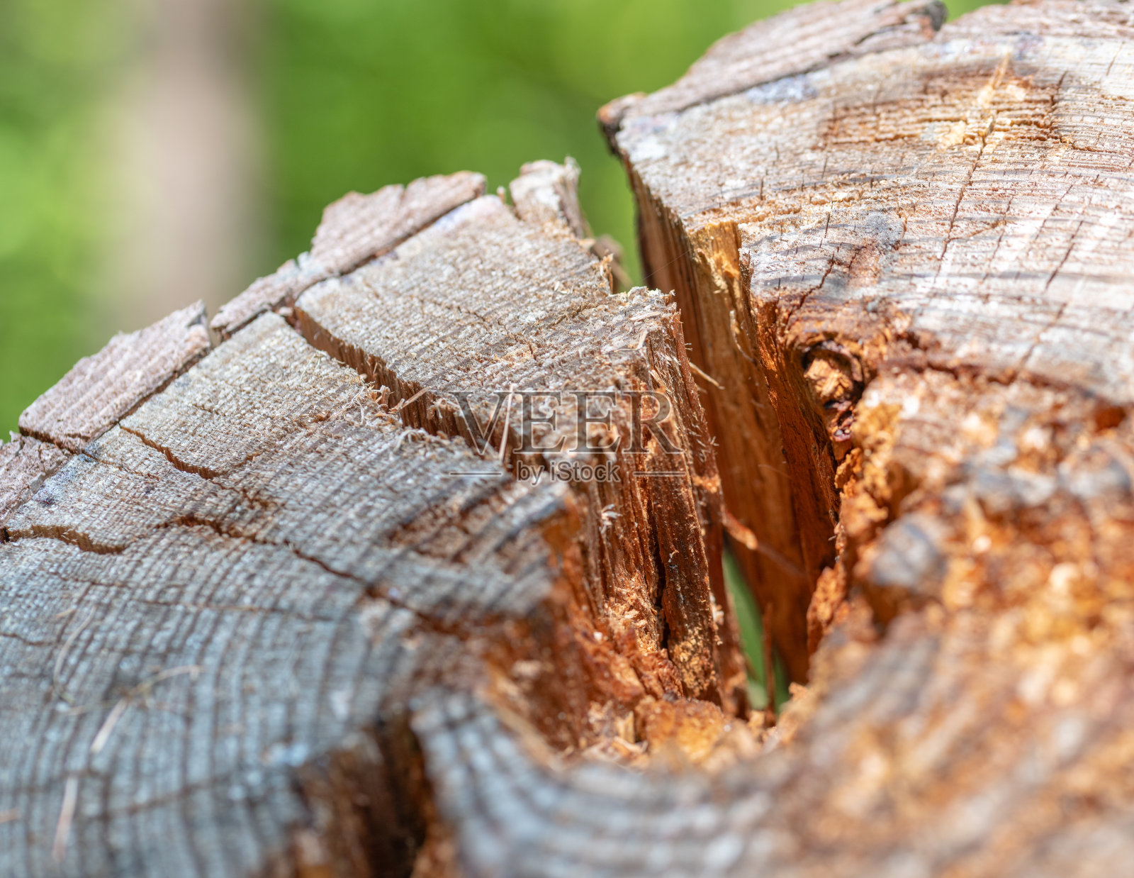 原木中心开裂的特写照片摄影图片