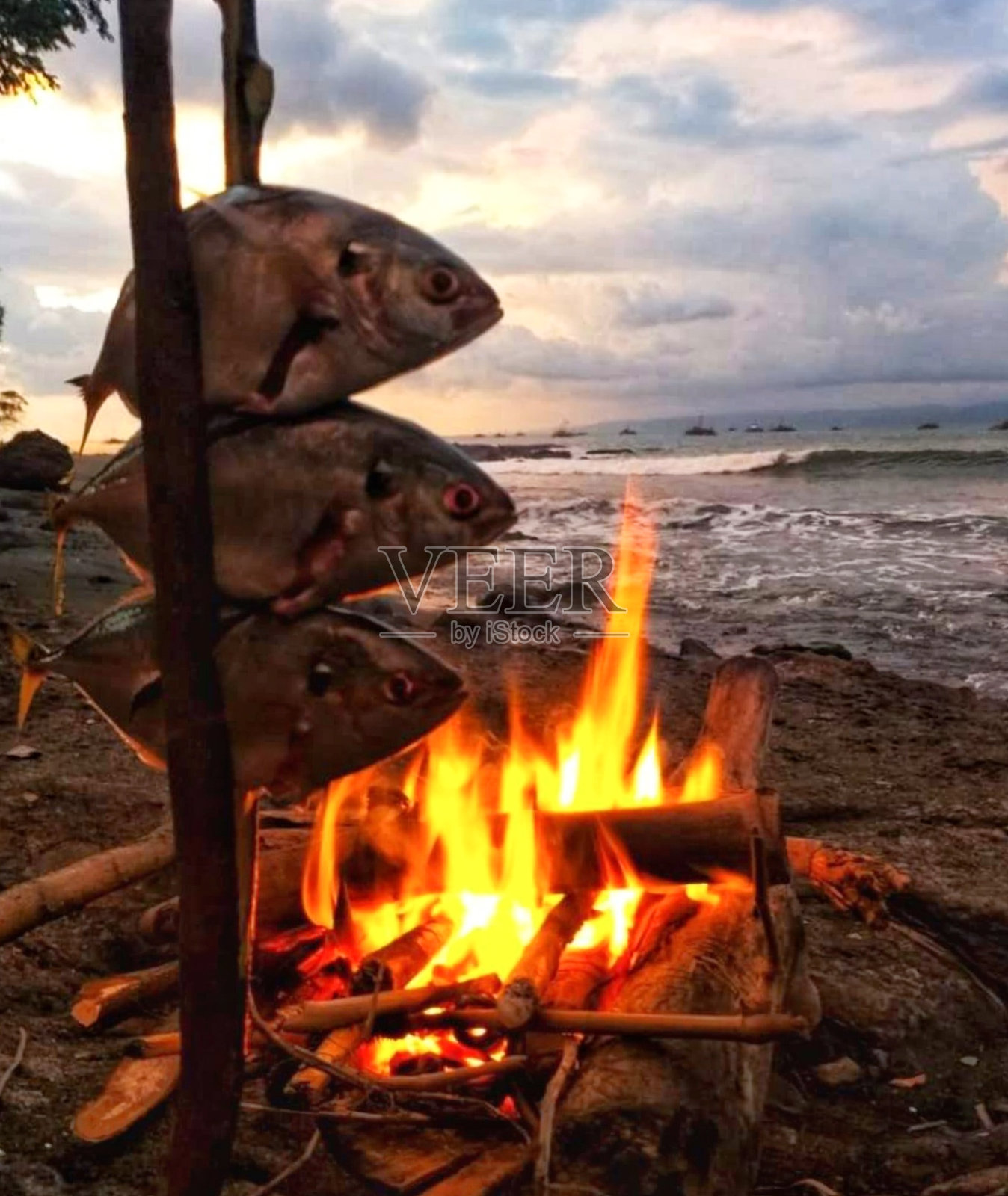 日落时分在沙滩上烤鱼照片摄影图片