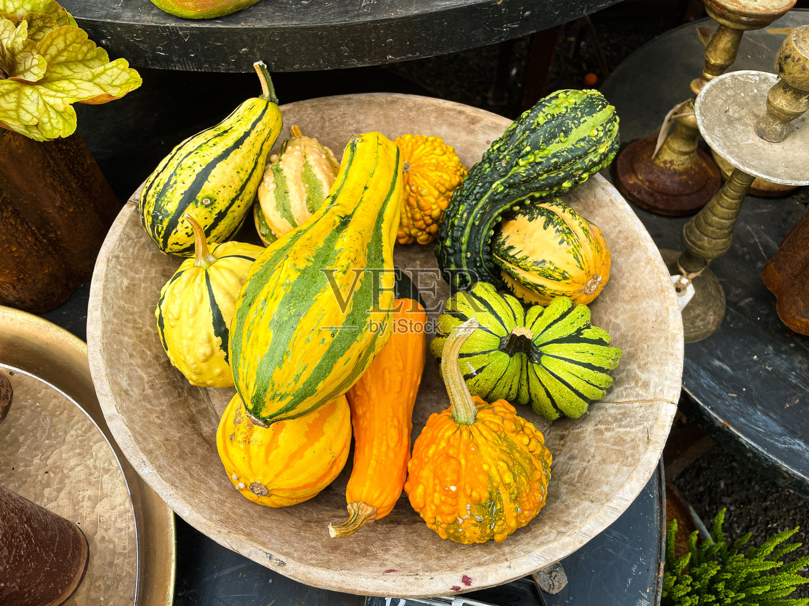 院子里粘土盘子里的南瓜和葫芦。照片摄影图片