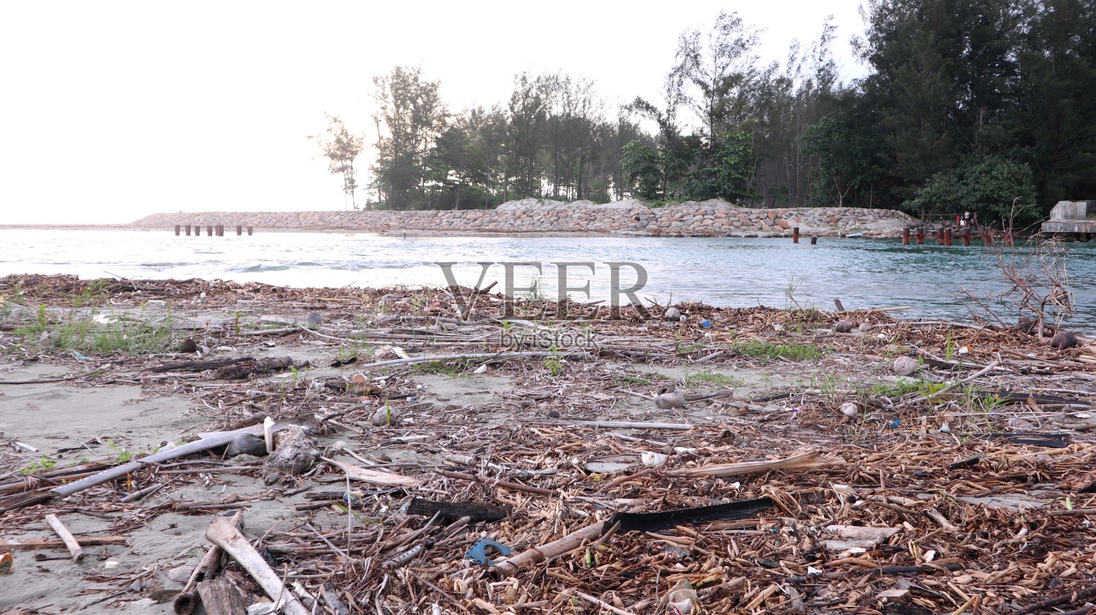 海滩上到处都是有机垃圾，污染环境的概念照片摄影图片