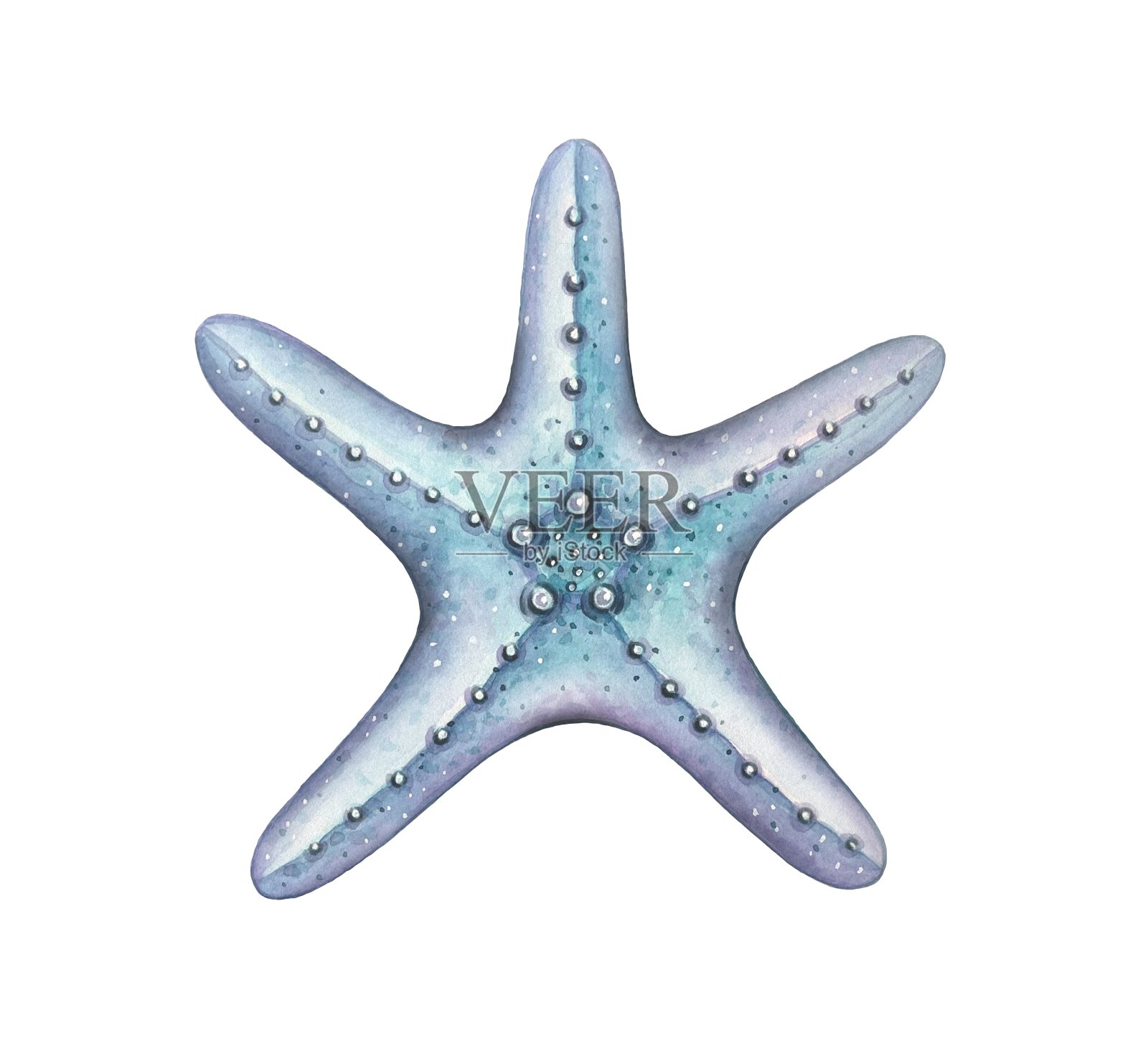 海星在绿松石和紫色的颜色，水彩插图插画图片素材