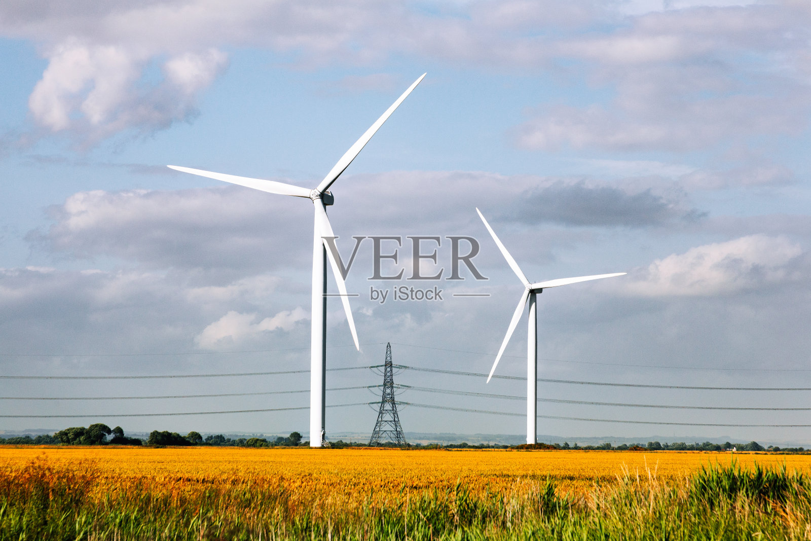 在黄金时段，农业景观中的风力发电厂的风力涡轮机照片摄影图片