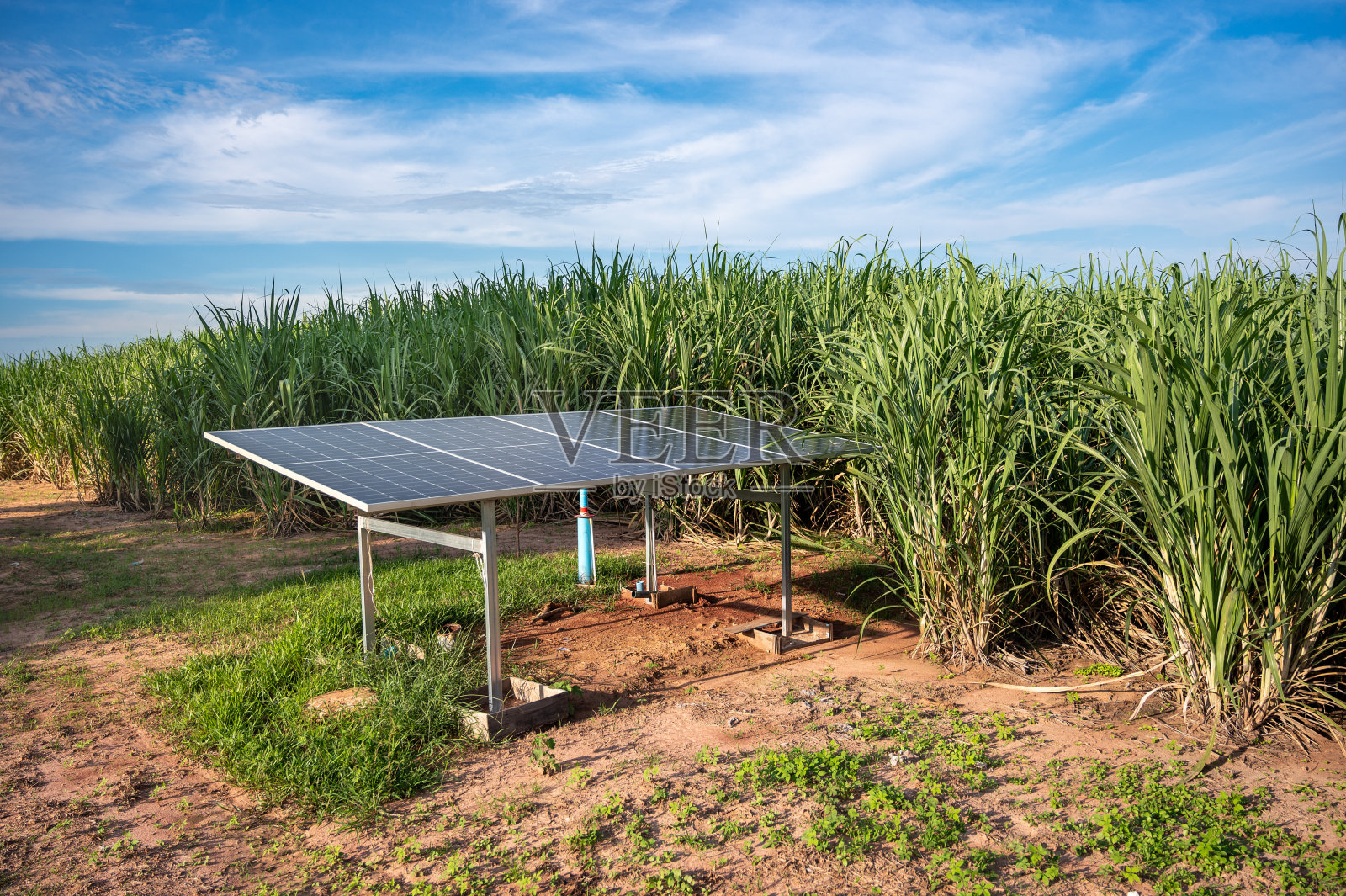 太阳能电池水泵农场站照片摄影图片