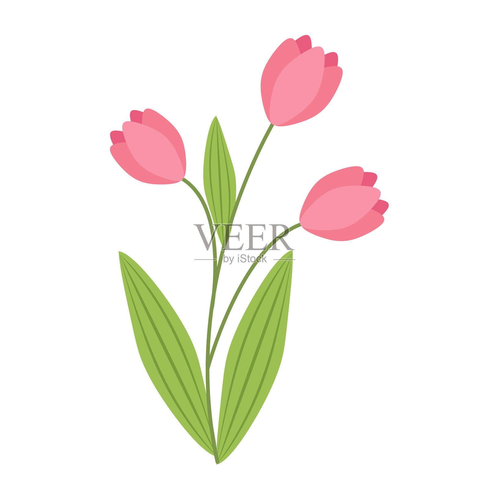 明亮的春天粉红色郁金香艺术画花插画图片素材