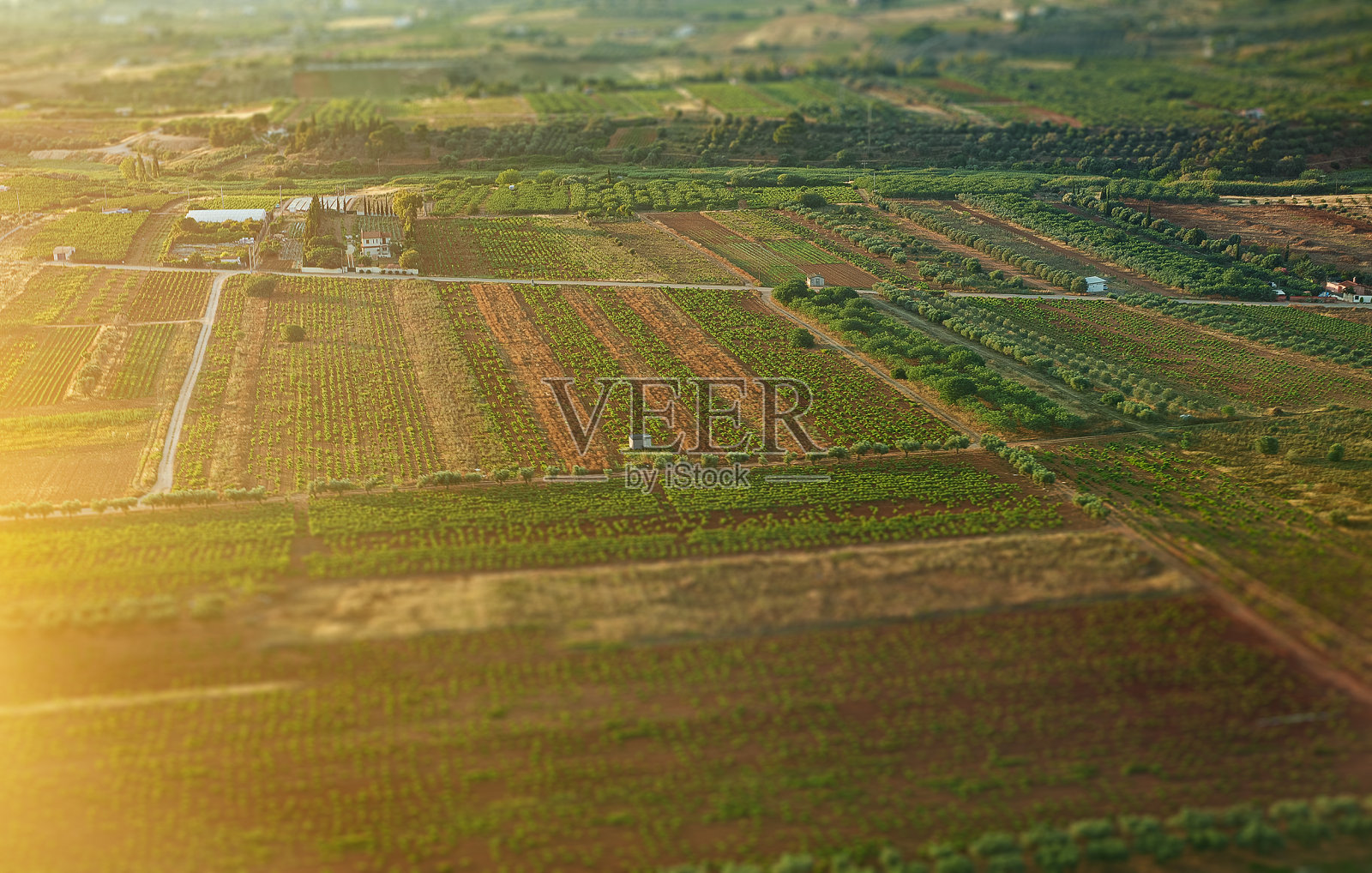 希腊农田鸟瞰图。照片摄影图片