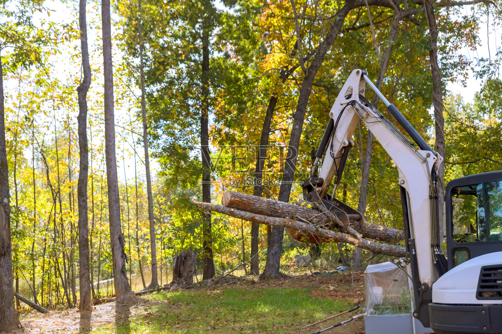 住宅综合体建设:在景观美化工作中，用滑舵拖拉机清理树木照片摄影图片