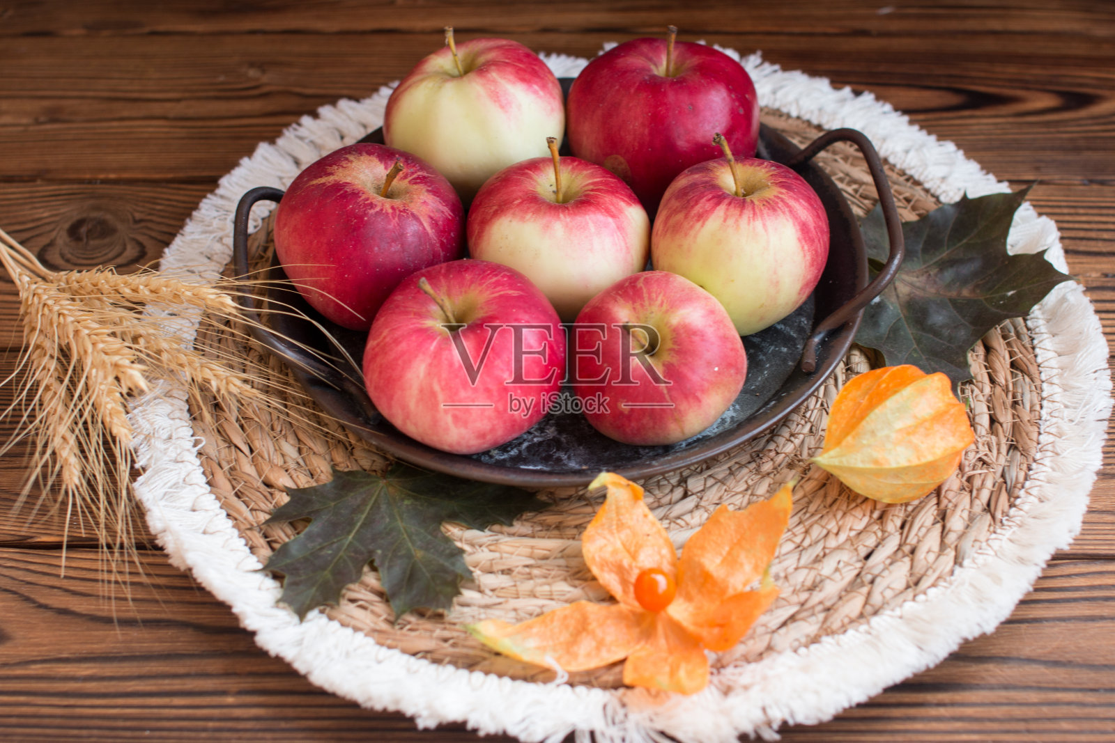 秋天静物与南瓜，physalis和小穗。以苹果和枫叶为背景的村庄概念照片摄影图片