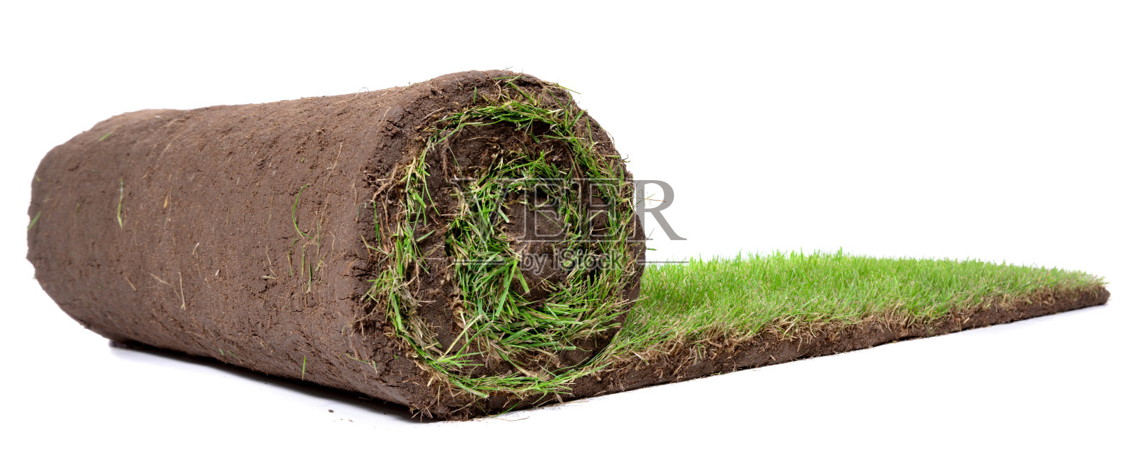 滚动草坪全景图照片摄影图片