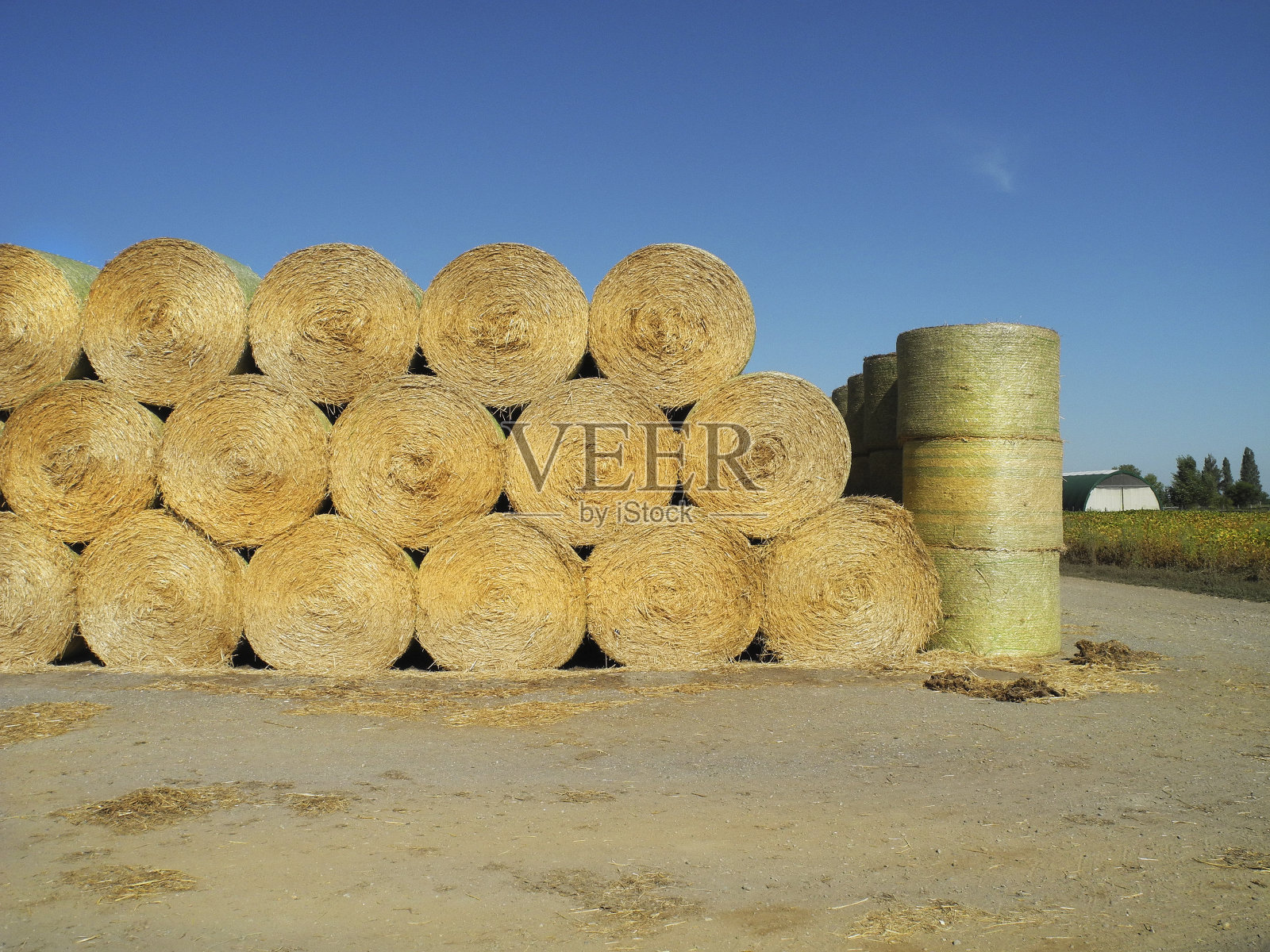 农牧业照片摄影图片